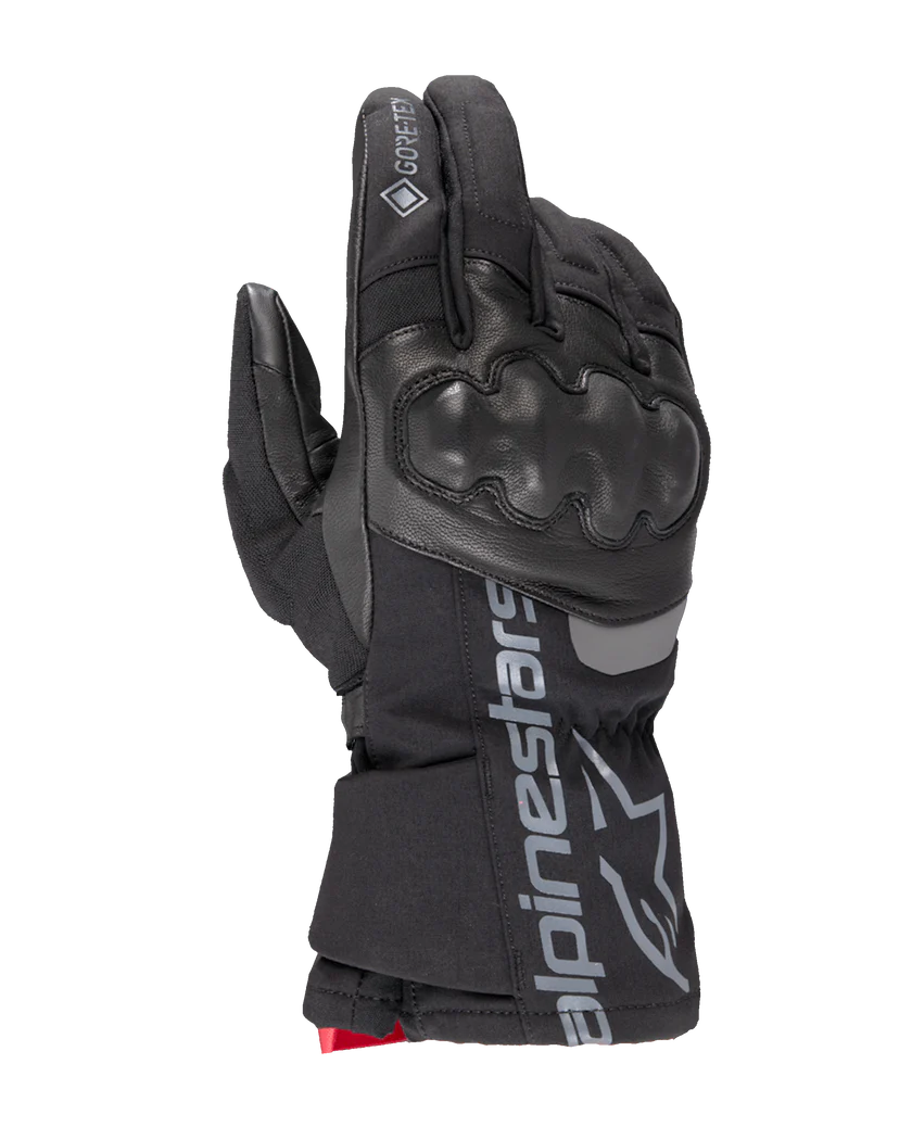 Wt-4 GORE-TEX Insulated Glove