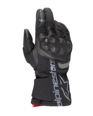 Wt-4 GORE-TEX Insulated Glove