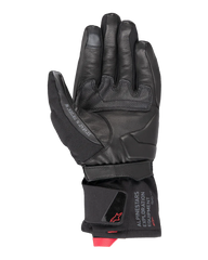 Wt-4 GORE-TEX Insulated Glove