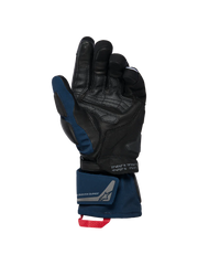 WT-8 GORE-TEX Insulated Gloves